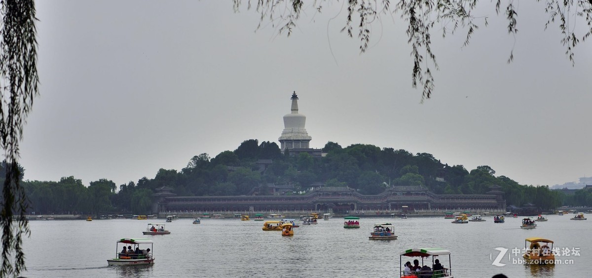 #佳能迷你微单EOS M50-盛夏交流会#佳能改变直男 直男改变姻缘