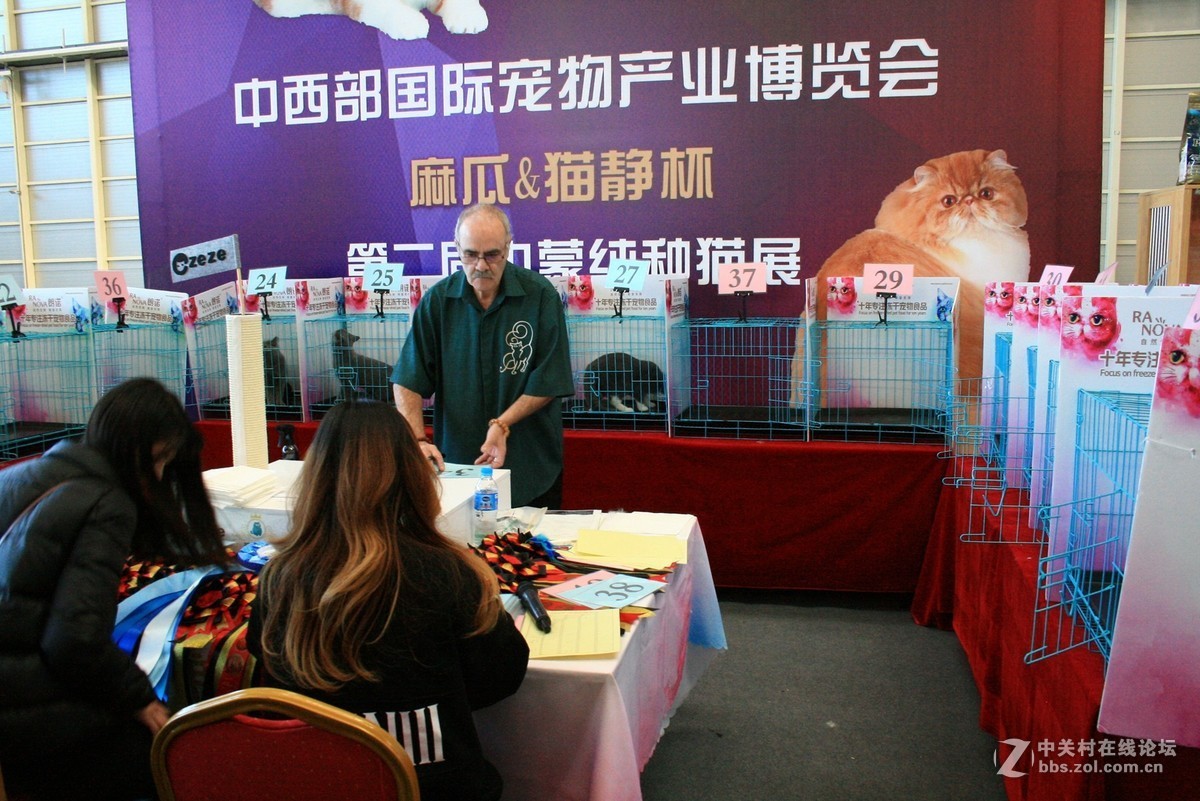 翻出来一个400D，随拍一组