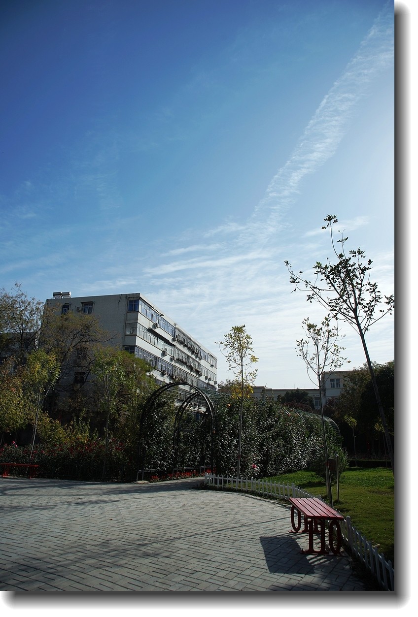 【秋高气爽】--恭贺老王玩摄影老友荣任[天津星空(中国)]版主!