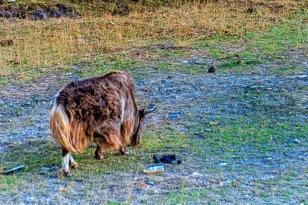 川西风光 《行摄八美镇（2）》