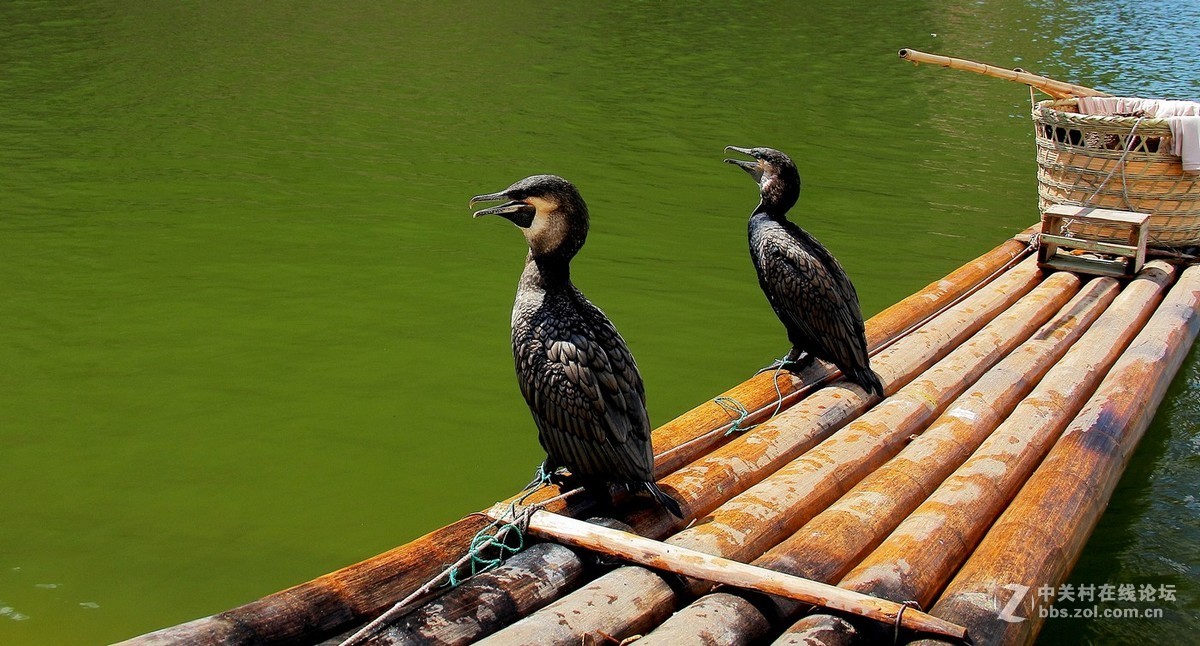 #佳能月赛-金秋十月#——游龙虎山碧水丹霞，看千年悬棺升官发财。