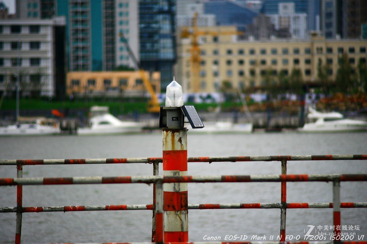 威达70-210 f3.5 黄浦江边打鸟