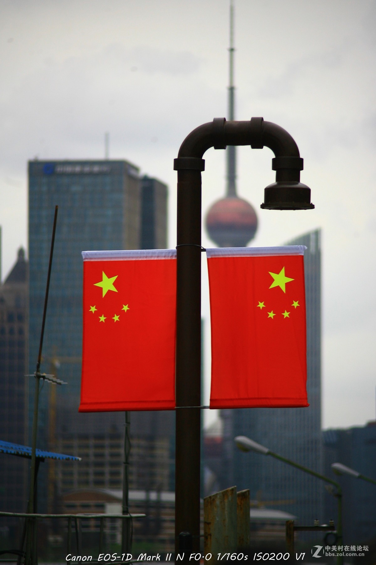 威达70-210 f3.5 黄浦江边打鸟