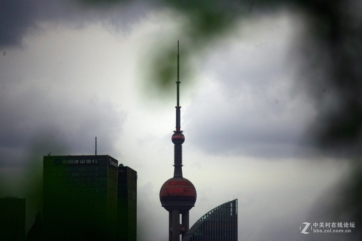 威达70-210 f3.5 黄浦江边打鸟