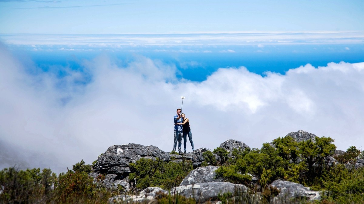 开普敦桌山国家森林公园