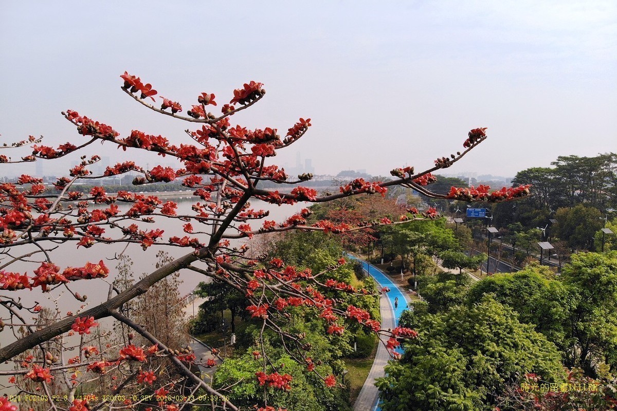 #版主坐堂#2018年3月份《承德》优秀作品选辑