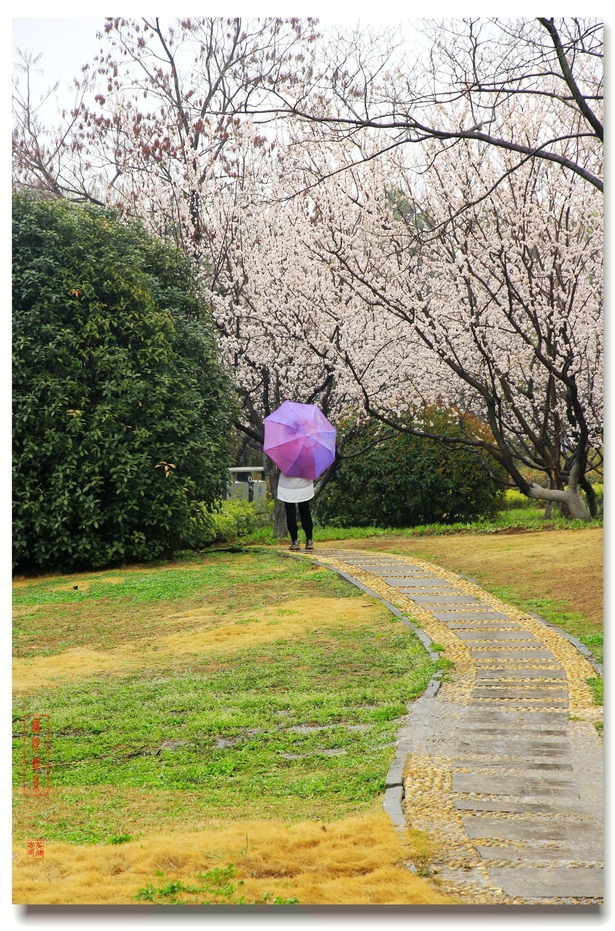 #版主坐堂#2018年3月份《承德》优秀作品选辑