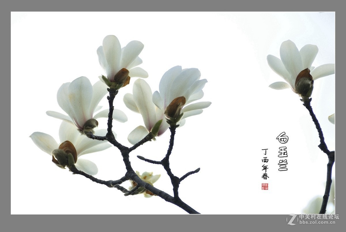 #版主坐堂#2018年3月份《承德》优秀作品选辑