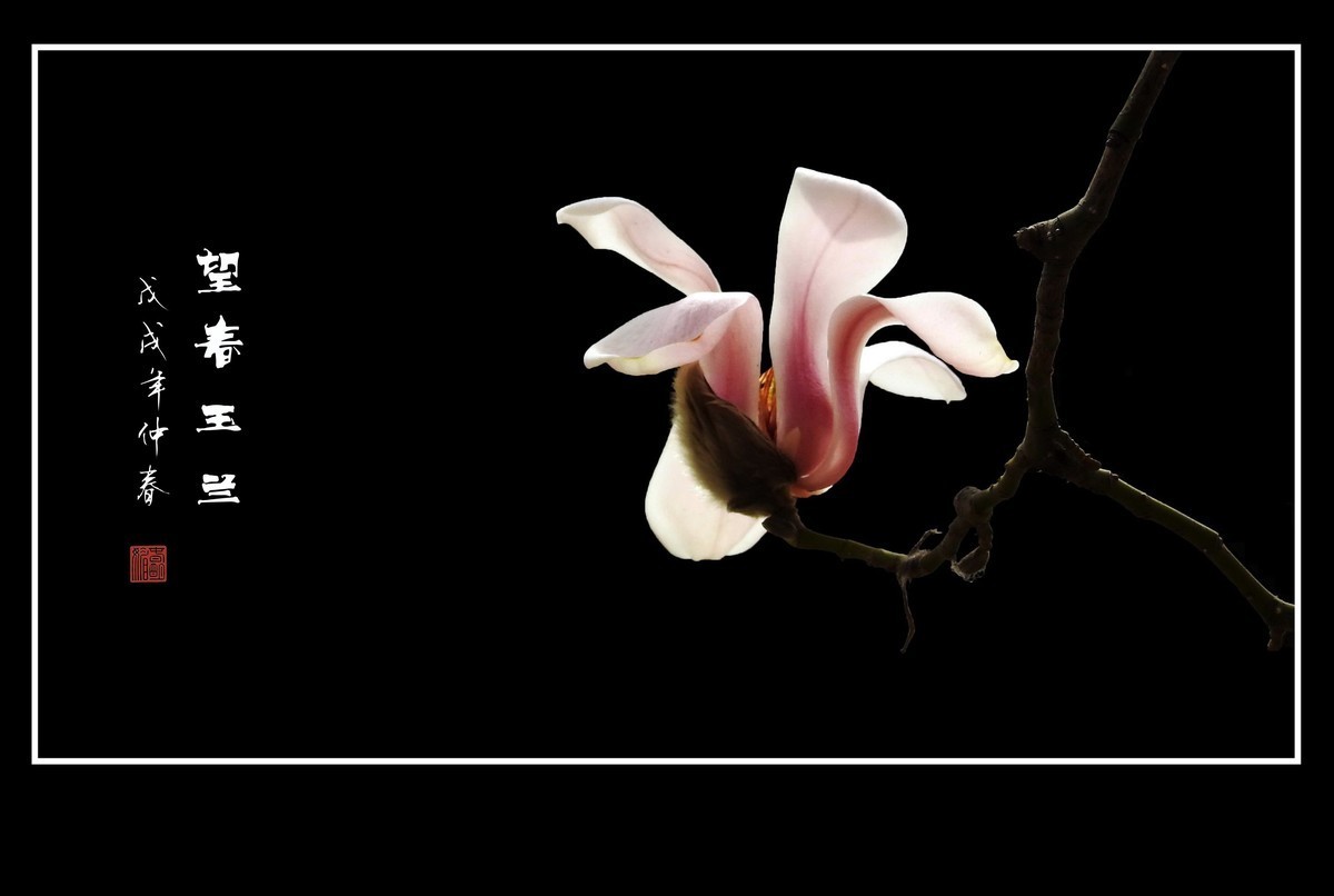 #版主坐堂#2018年3月份《承德》优秀作品选辑