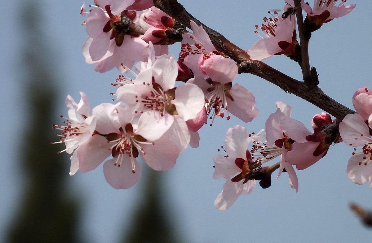 #版主坐堂#2018年3月份《承德》优秀作品选辑