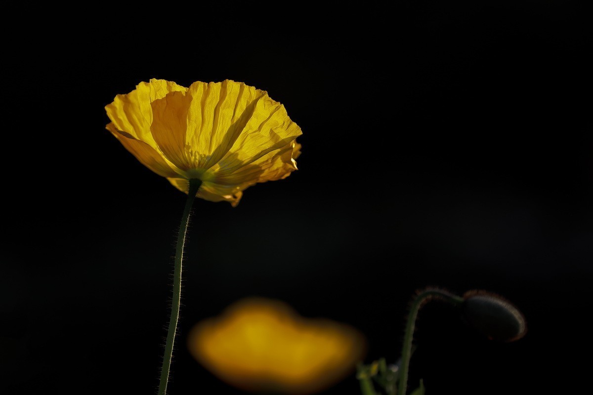 #版主坐堂#2018年3月份《承德》优秀作品选辑