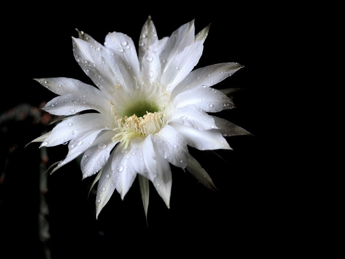 #版主坐堂#2018年3月份《承德》优秀作品选辑