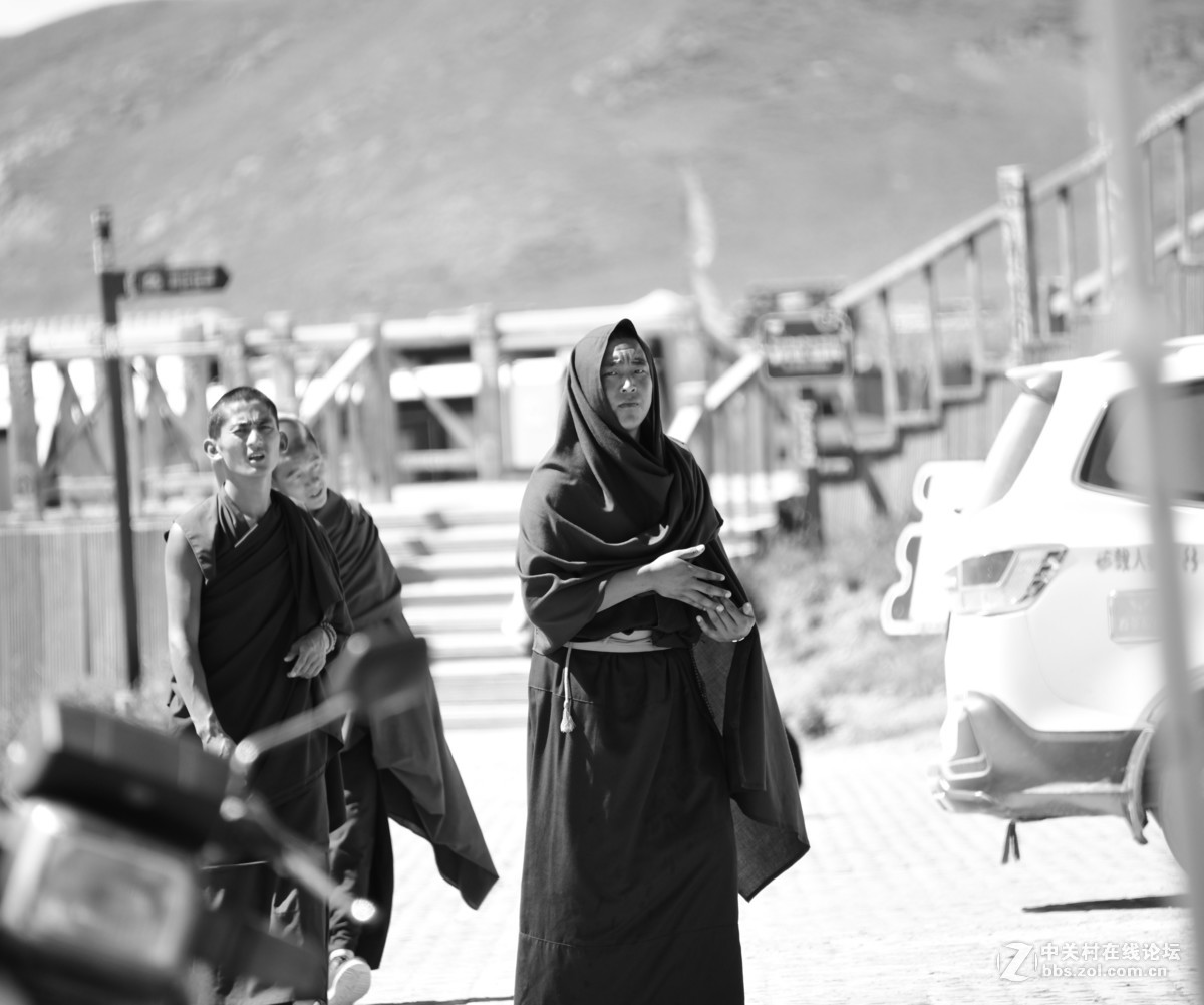 甘南唐克--黄河九曲及人物