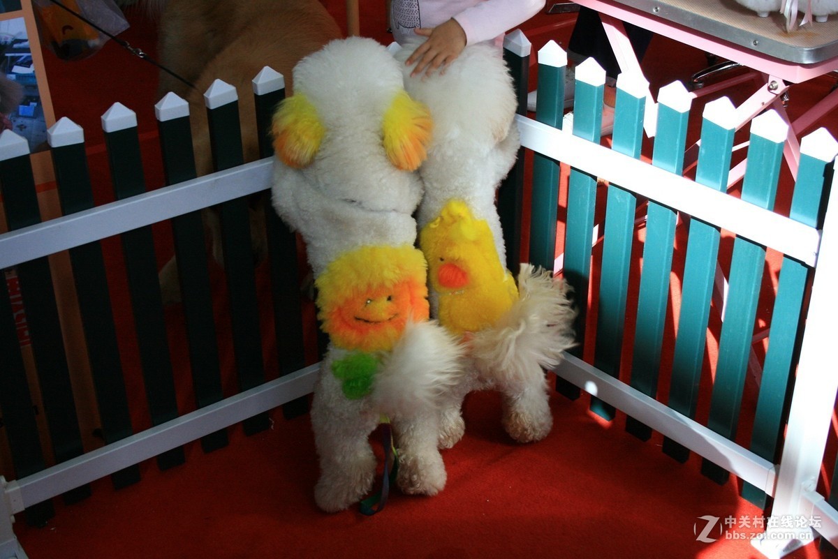 翻出来一个400D，随拍一组