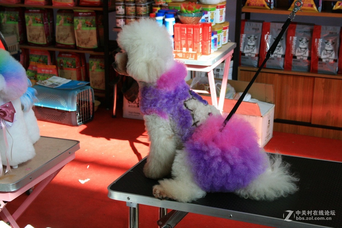 翻出来一个400D，随拍一组