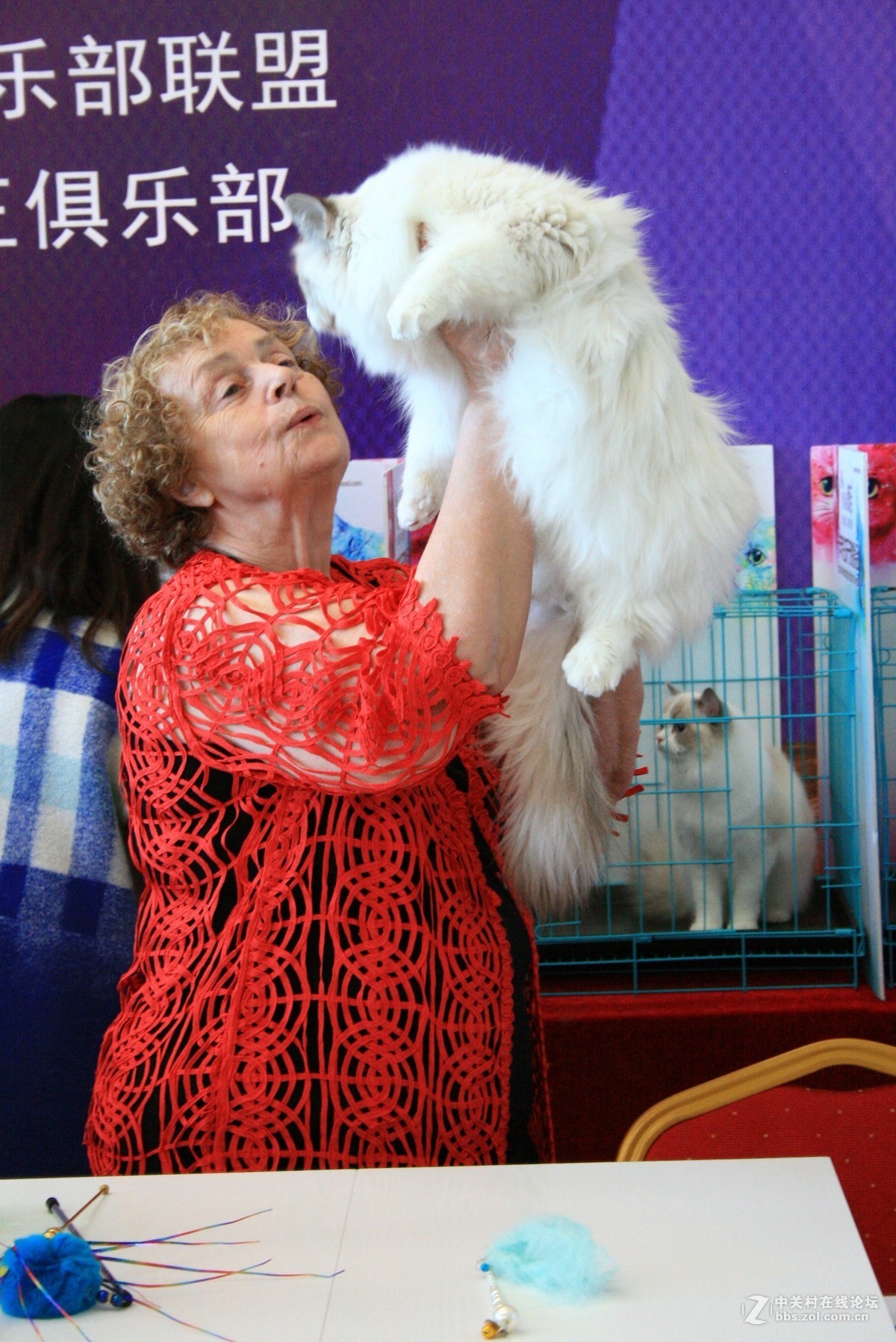 翻出来一个400D，随拍一组