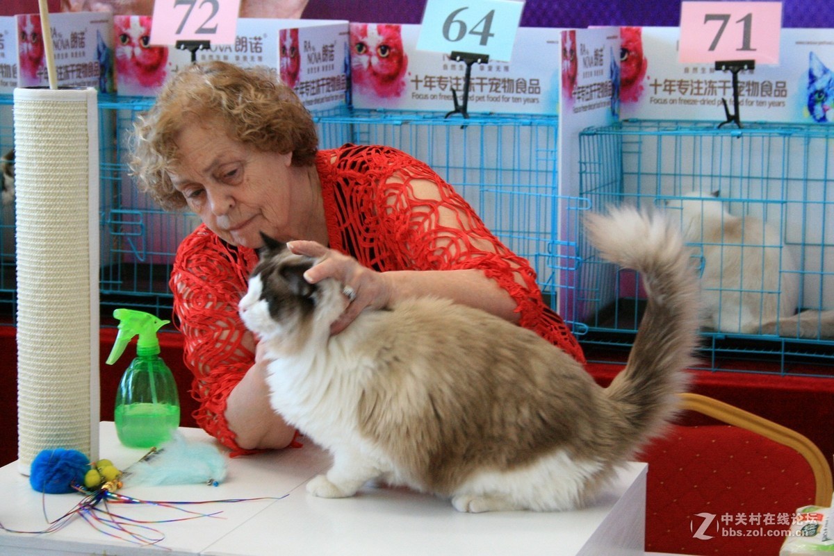 翻出来一个400D，随拍一组