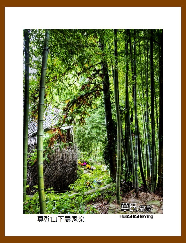 玩在浙江001——莫干山下农家乐（湖州市德清县劳岭村三九坞）