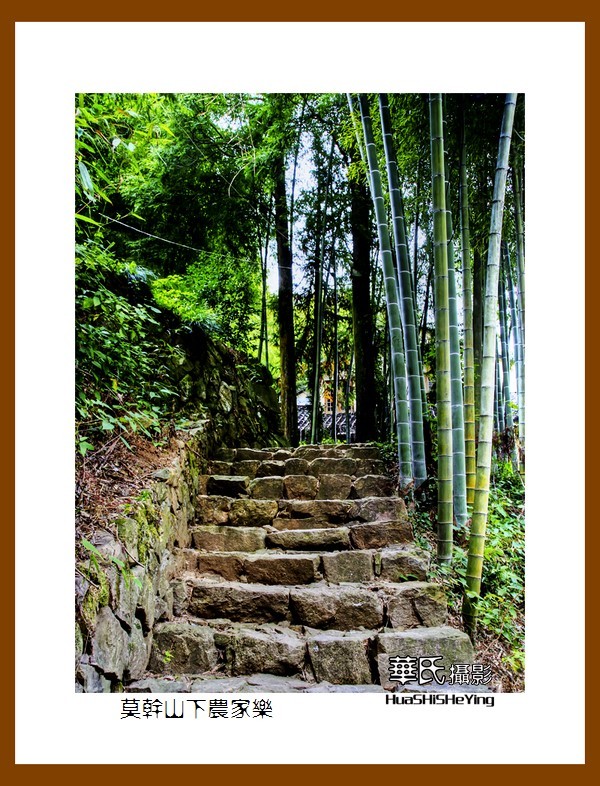 玩在浙江001——莫干山下农家乐（湖州市德清县劳岭村三九坞）