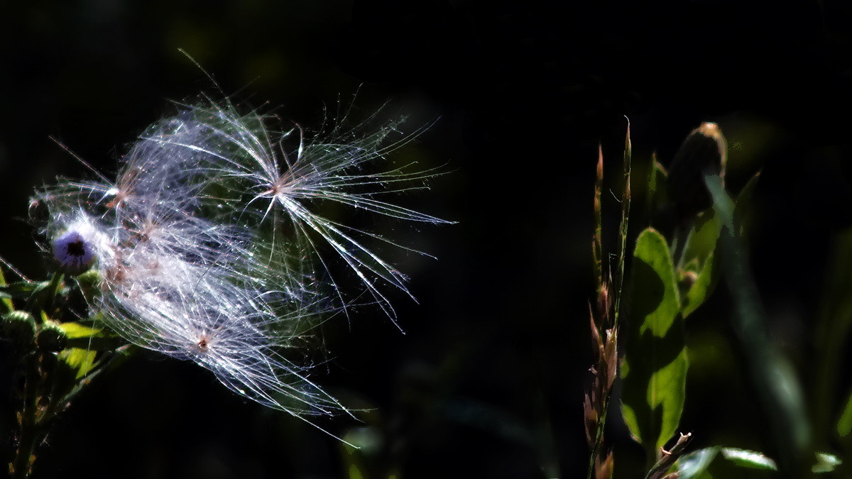 坐井观天——等待春天。。。