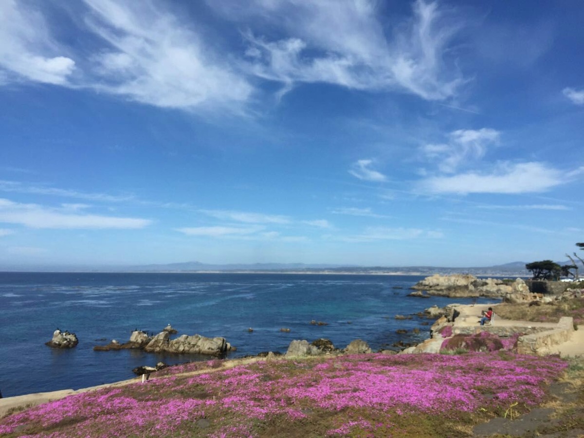 美国旧金山蒙特利海湾