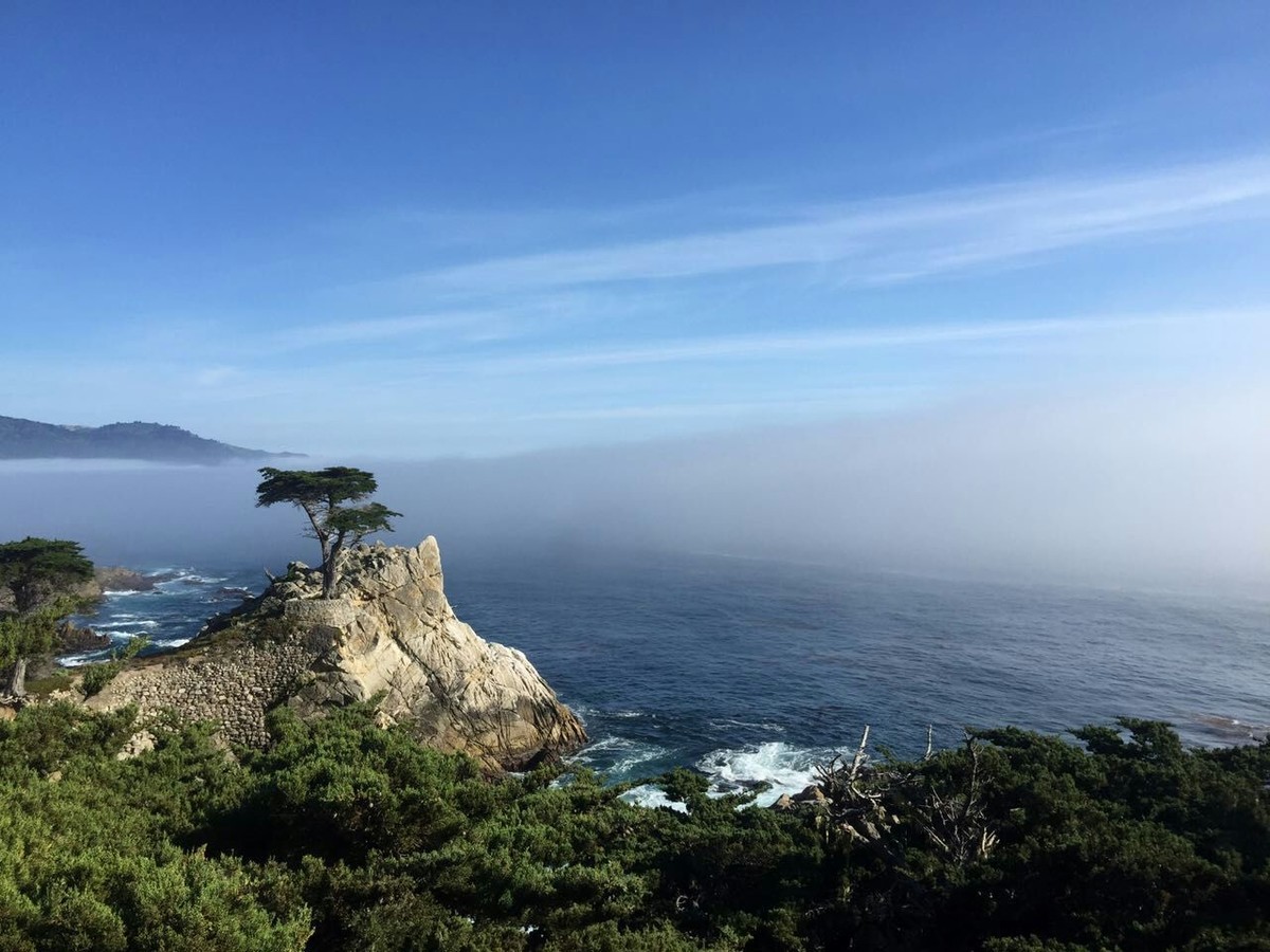 美国旧金山蒙特利海湾