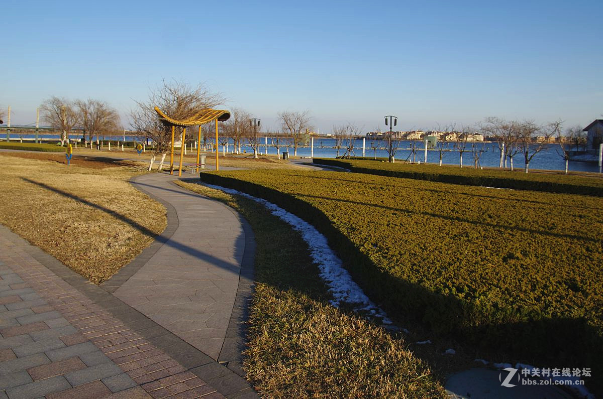 『傍晚时分』123...11p