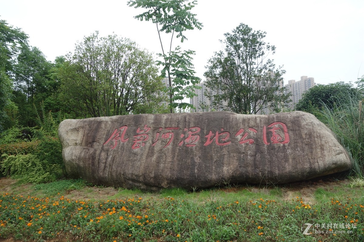 凤岗河湿地公园