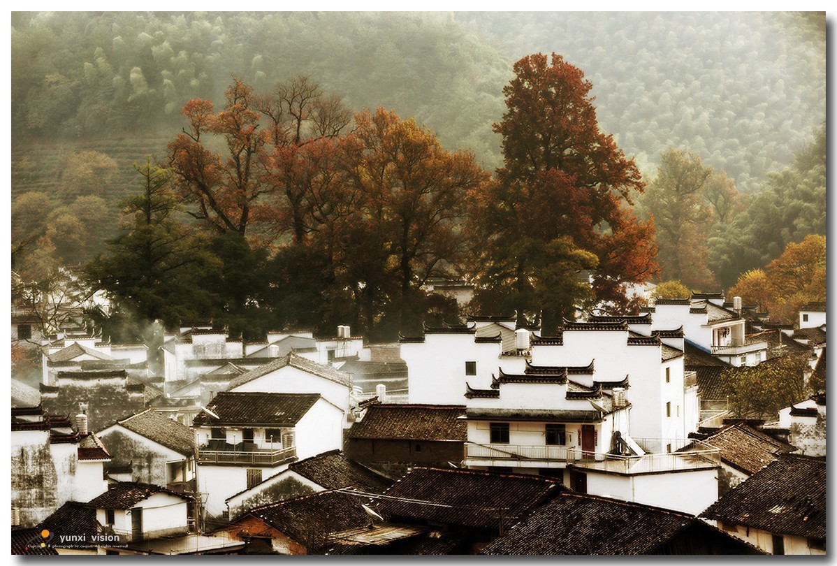 #佳能月赛-冬日精彩#冬日暖阳