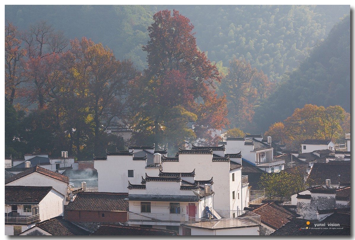 #佳能月赛-冬日精彩#冬日暖阳