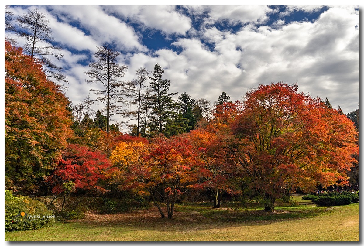 #佳能月赛-冬日精彩#冬日暖阳