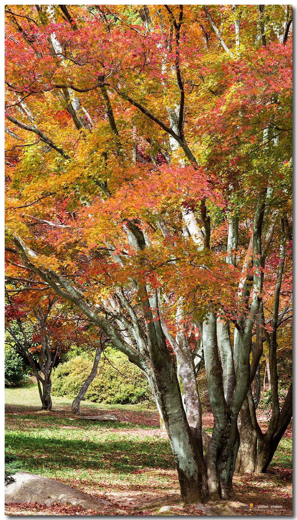 #佳能月赛-冬日精彩#冬日暖阳