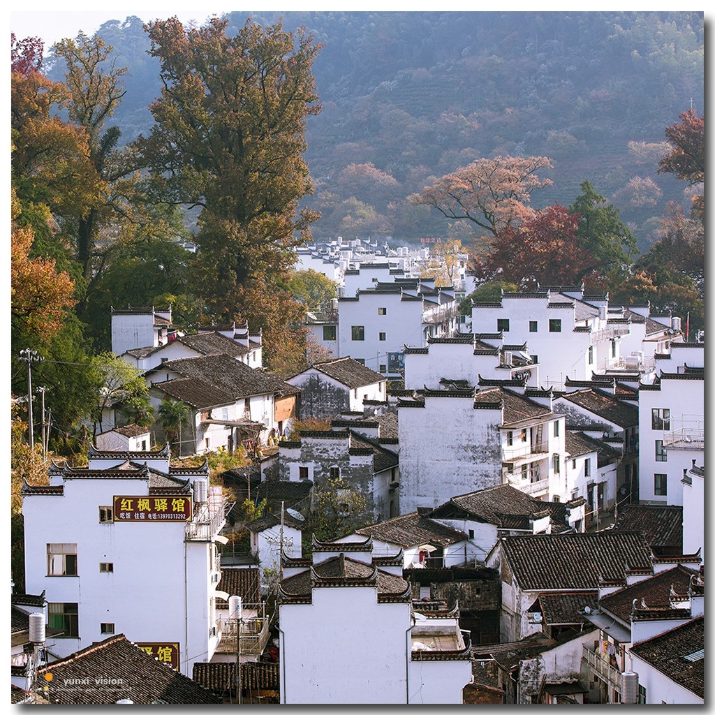 #佳能月赛-冬日精彩#冬日暖阳