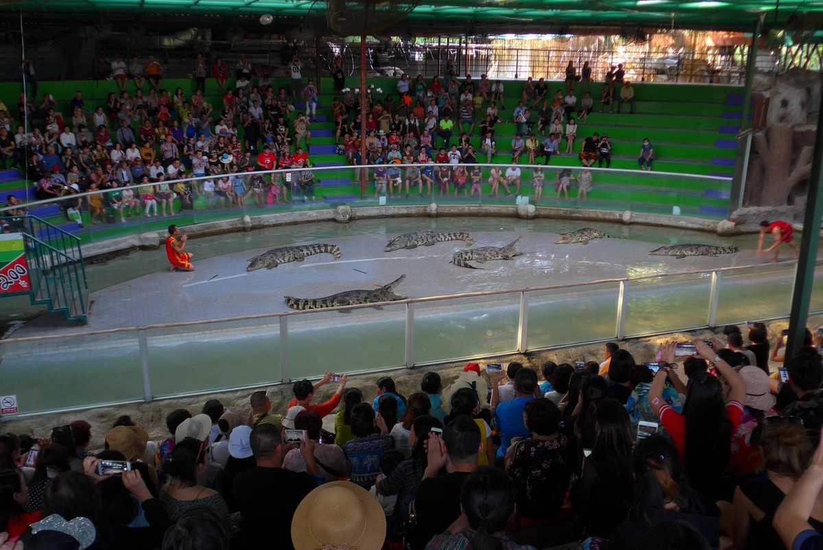 泰国春武里府差拉动物王国