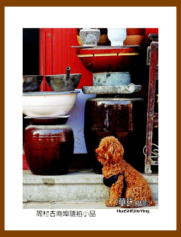 齐鲁探亲自驾行——周村古商埠随拍小品（山东省淄博市）