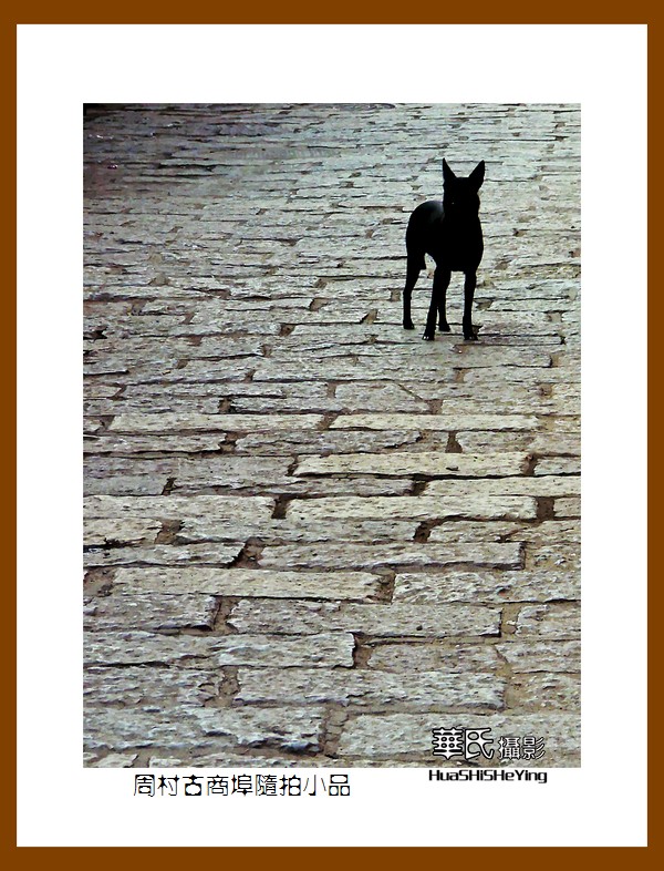 齐鲁探亲自驾行——周村古商埠随拍小品（山东省淄博市）