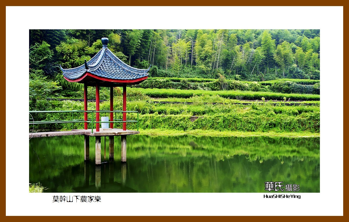 玩在浙江001——莫干山下农家乐（湖州市德清县劳岭村三九坞）