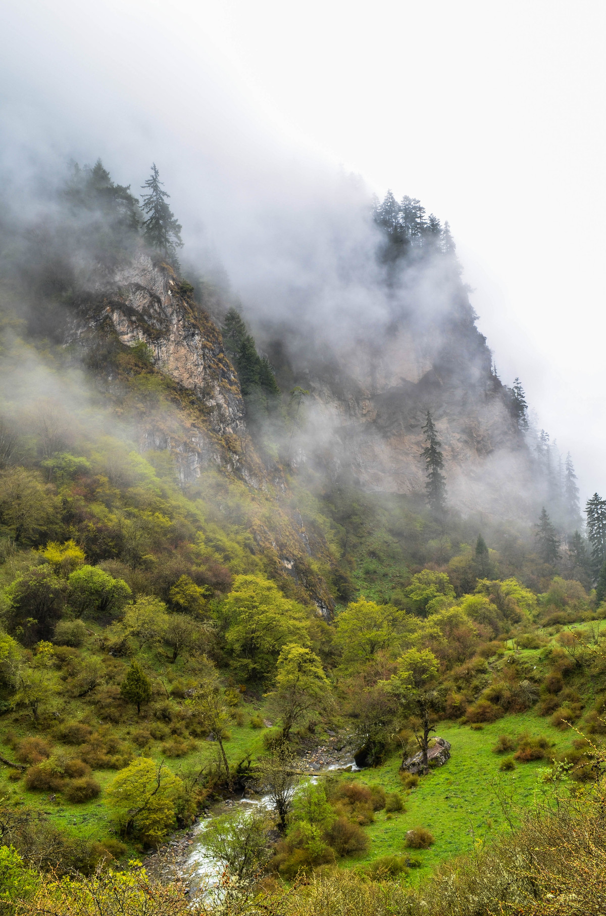 山在远方不忘初心