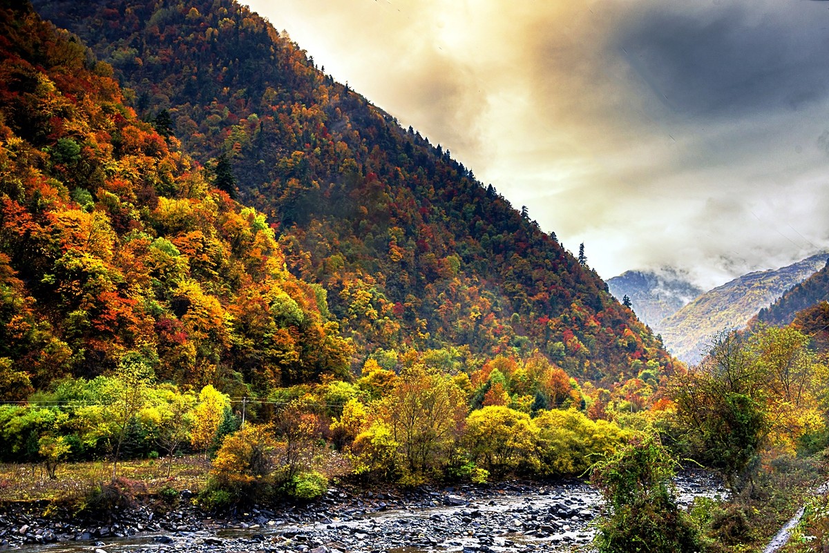 川西风光奶子沟五彩林