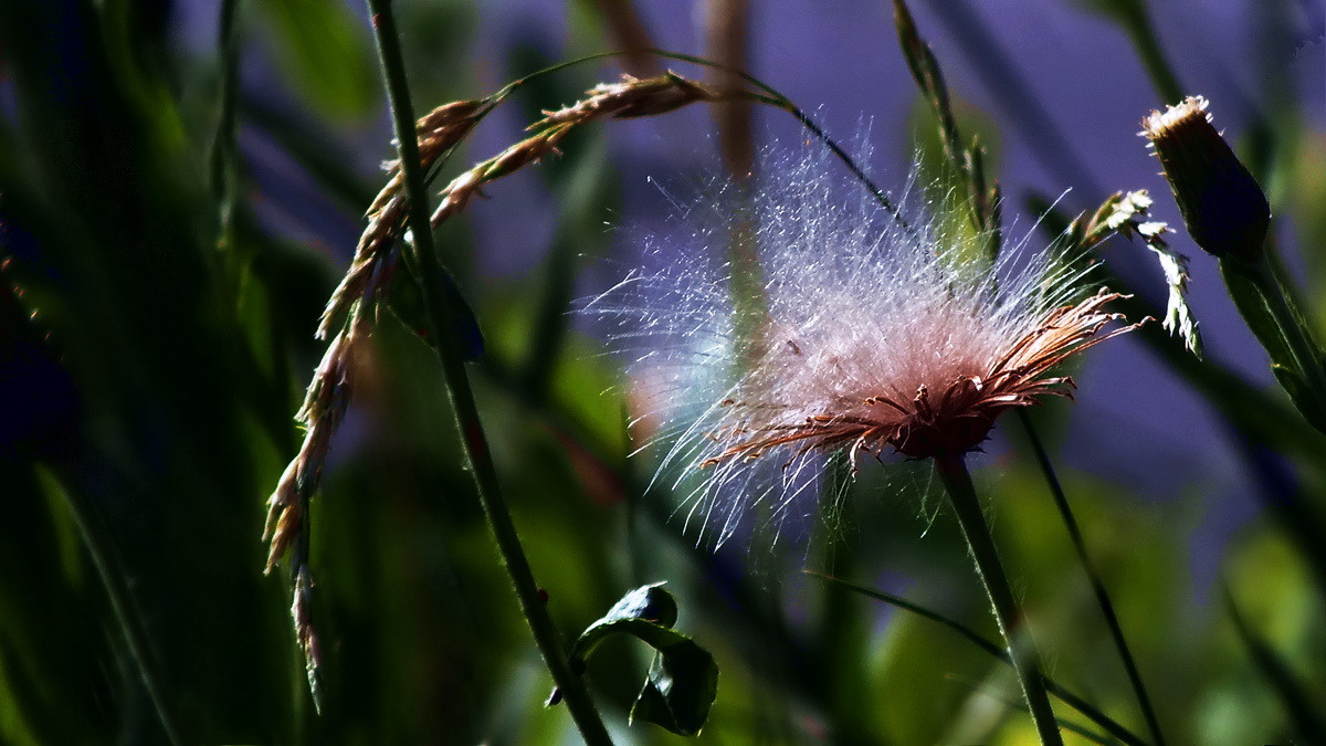 坐井观天——等待春天。。。