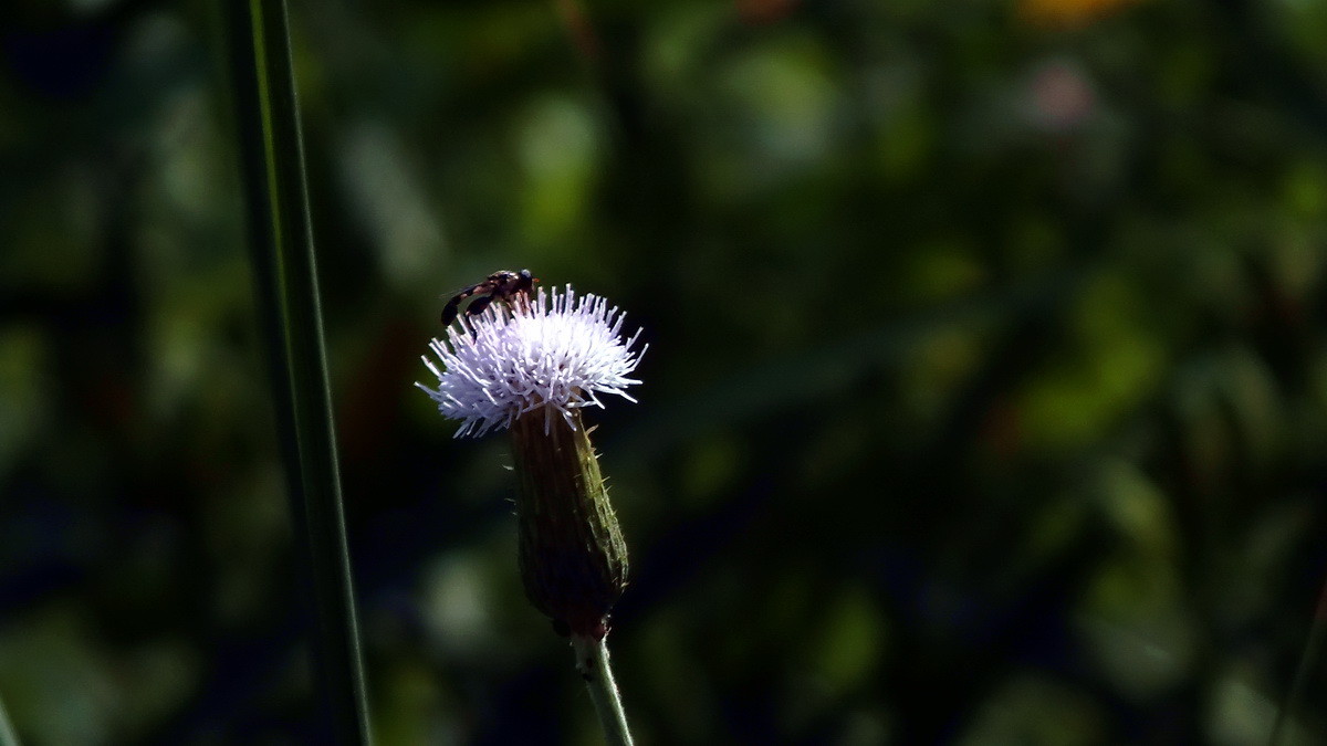 坐井观天——等待春天。。。
