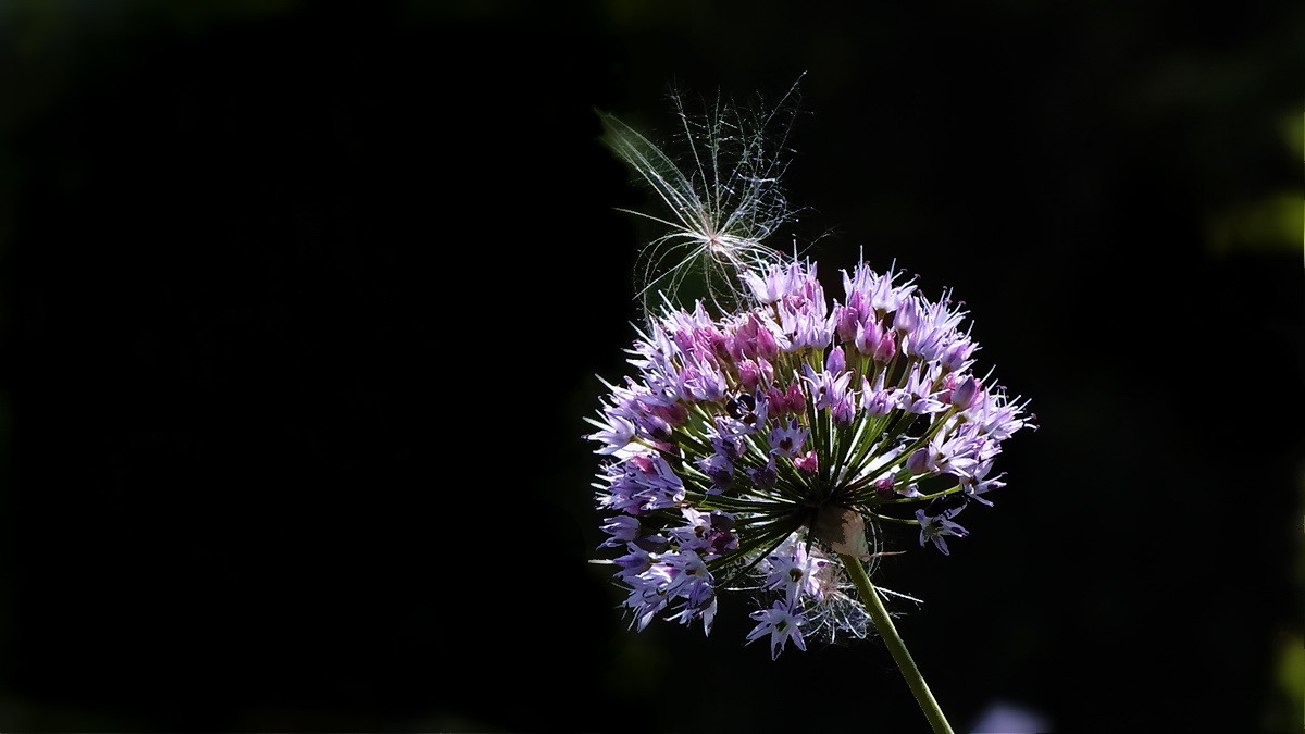 坐井观天——等待春天。。。