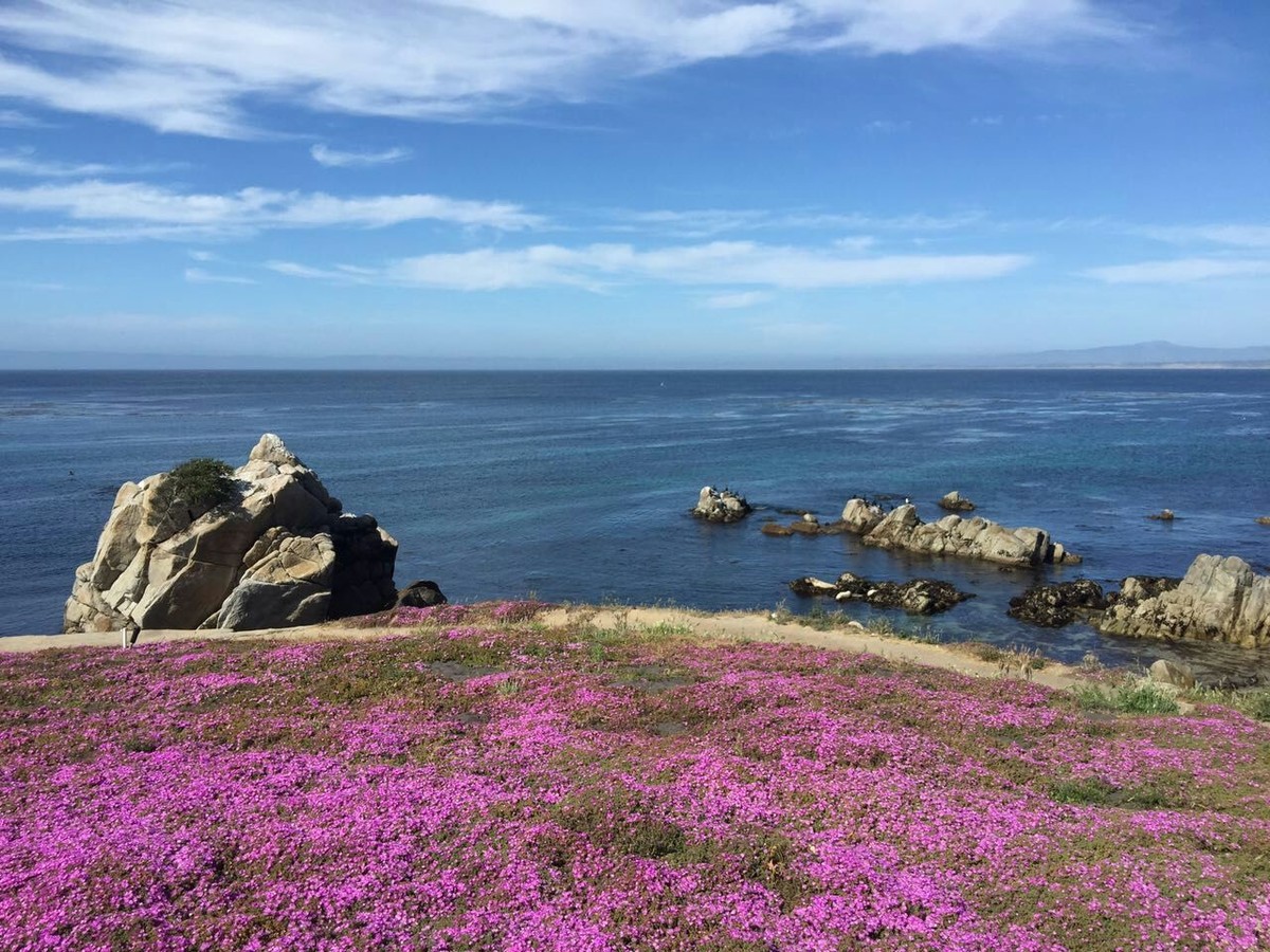 美国旧金山蒙特利海湾