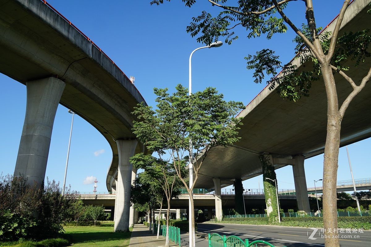 罗山高架路图片