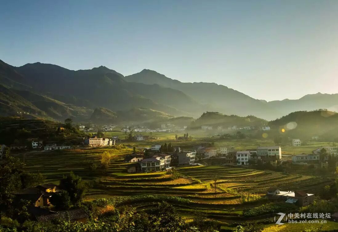 人醉稻香四溢处,   斩获丰收喜悦时