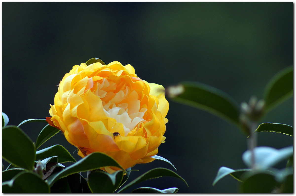 #版主坐堂#索尼 ILCE-7R摄影星空(中国)17-03月份部分单张精华作品推荐