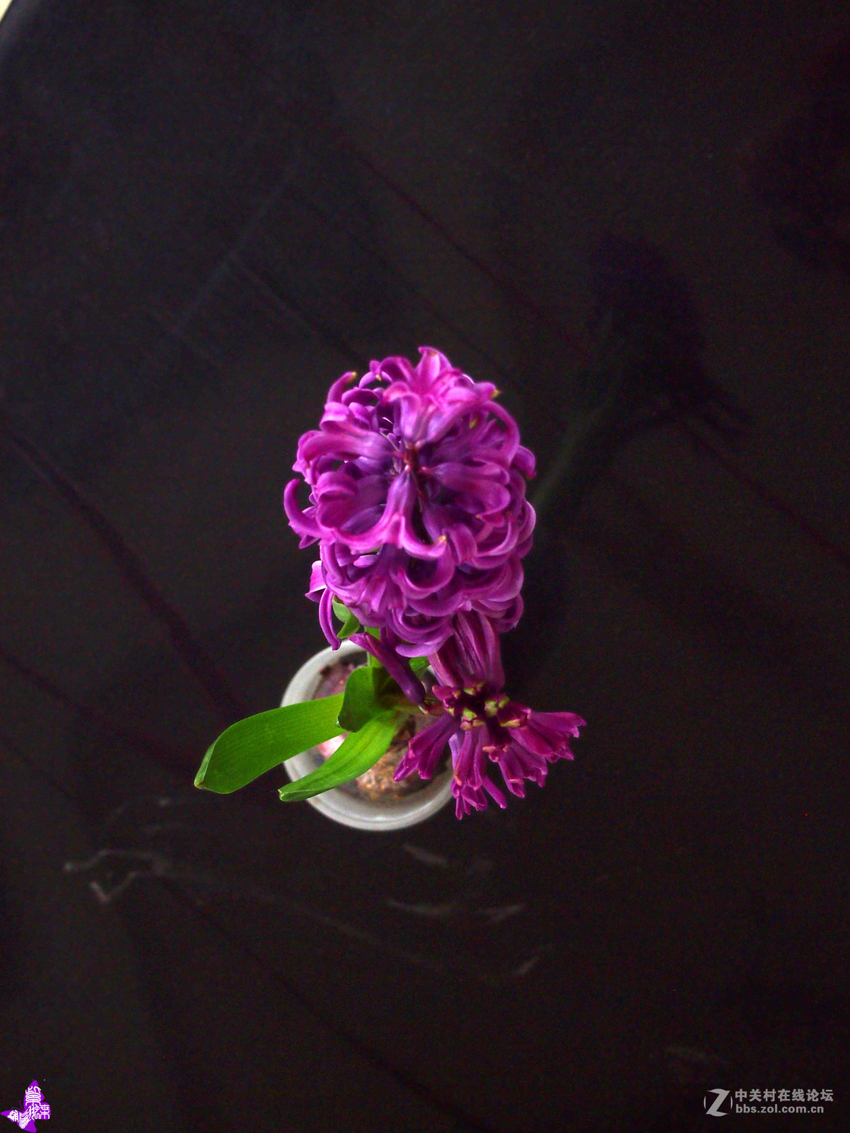 #版主坐堂#索尼 ILCE-7R摄影星空(中国)17-03月份部分单张精华作品推荐