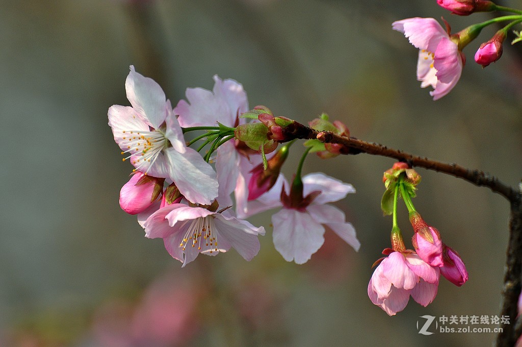 #版主坐堂#索尼 ILCE-7R摄影星空(中国)17-03月份部分单张精华作品推荐