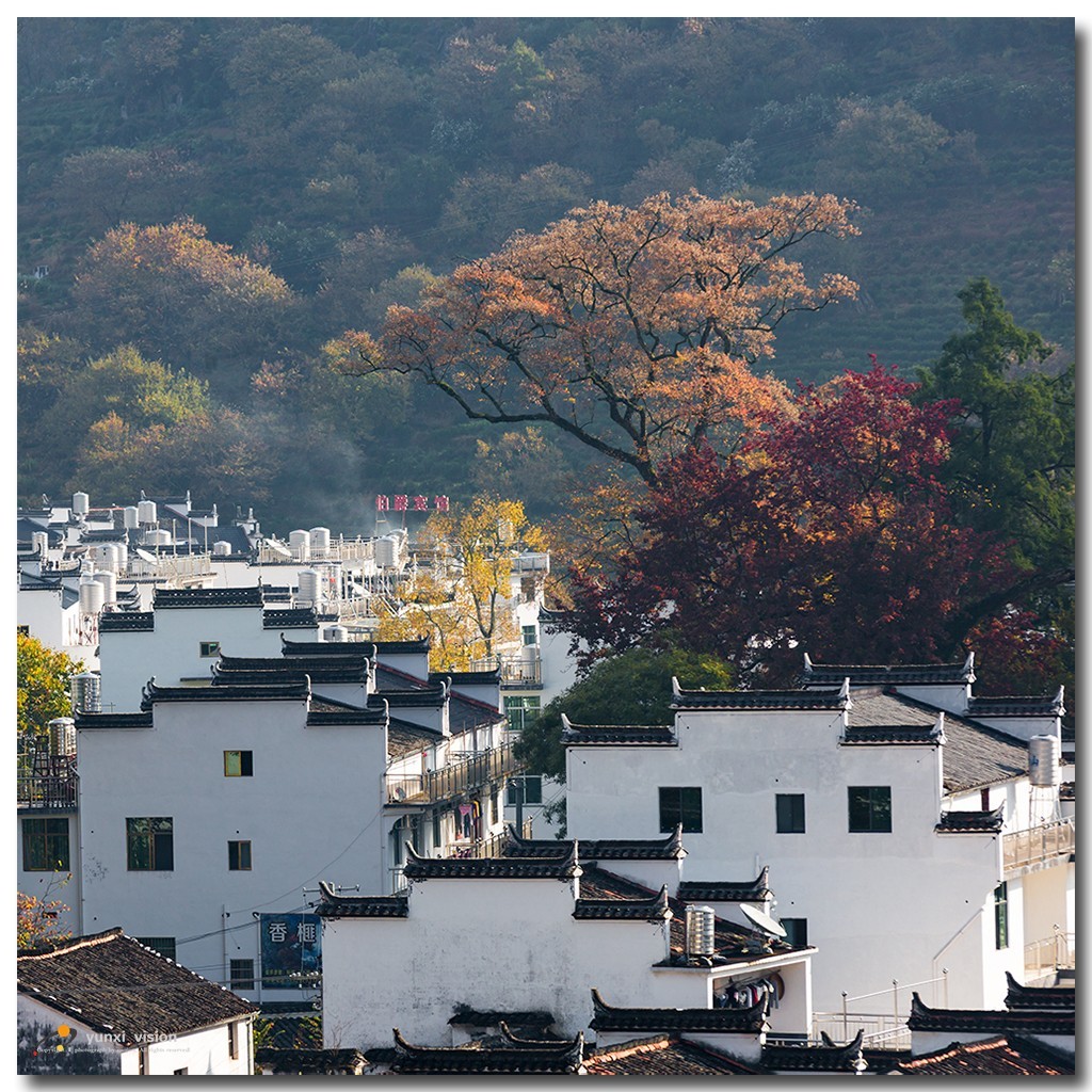 #佳能月赛-冬日精彩#冬日暖阳