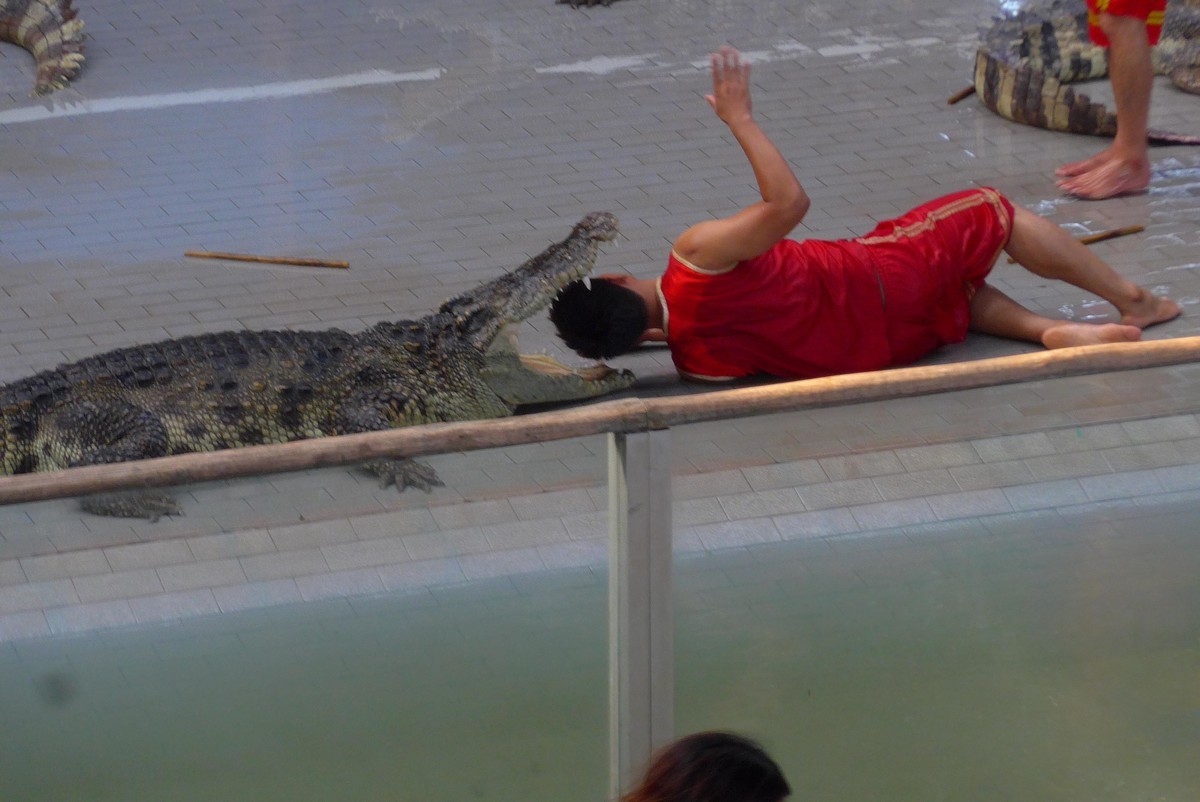 泰国春武里府差拉动物王国